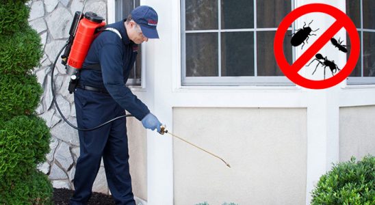 Hanönü Dezenfeksiyon böcek ilaçlama ve haşere kontrolü — ilaclama-tr.com